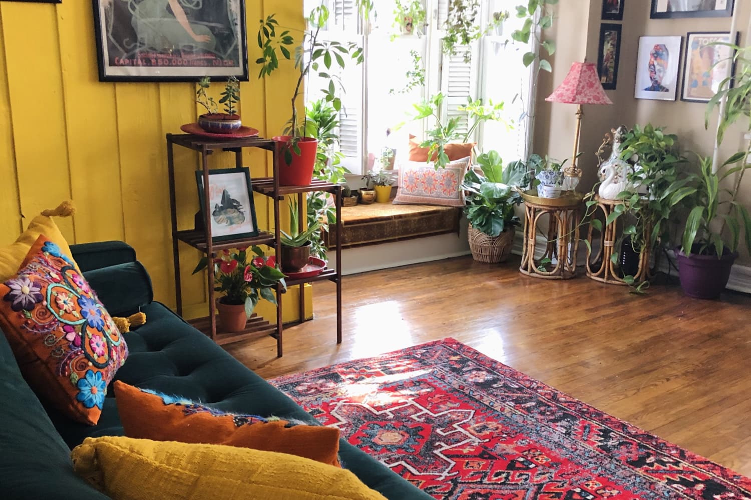 Plant Filled Rental Apartment Photos Apartment Therapy